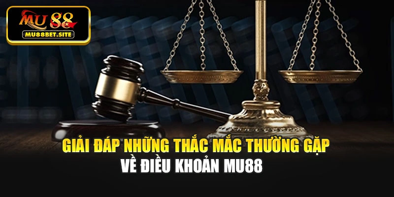 Giải đáp những thắc mắc thường gặp về điều khoản Mu88