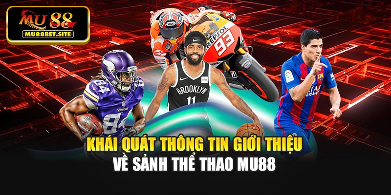 Khái quát thông tin giới thiệu về sảnh thể thao Mu88