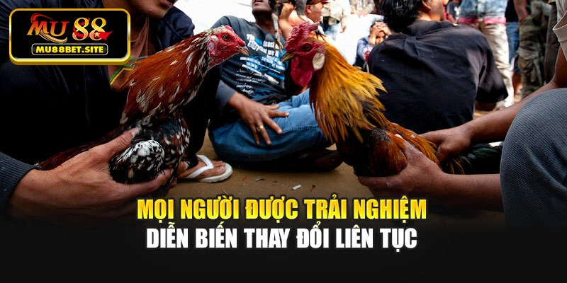 Mọi người được trải nghiệm diễn biến thay đổi liên tục
