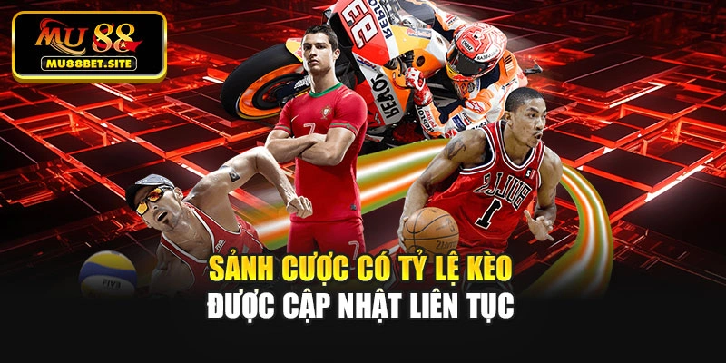 Sảnh cược có tỷ lệ kèo được cập nhật liên tục